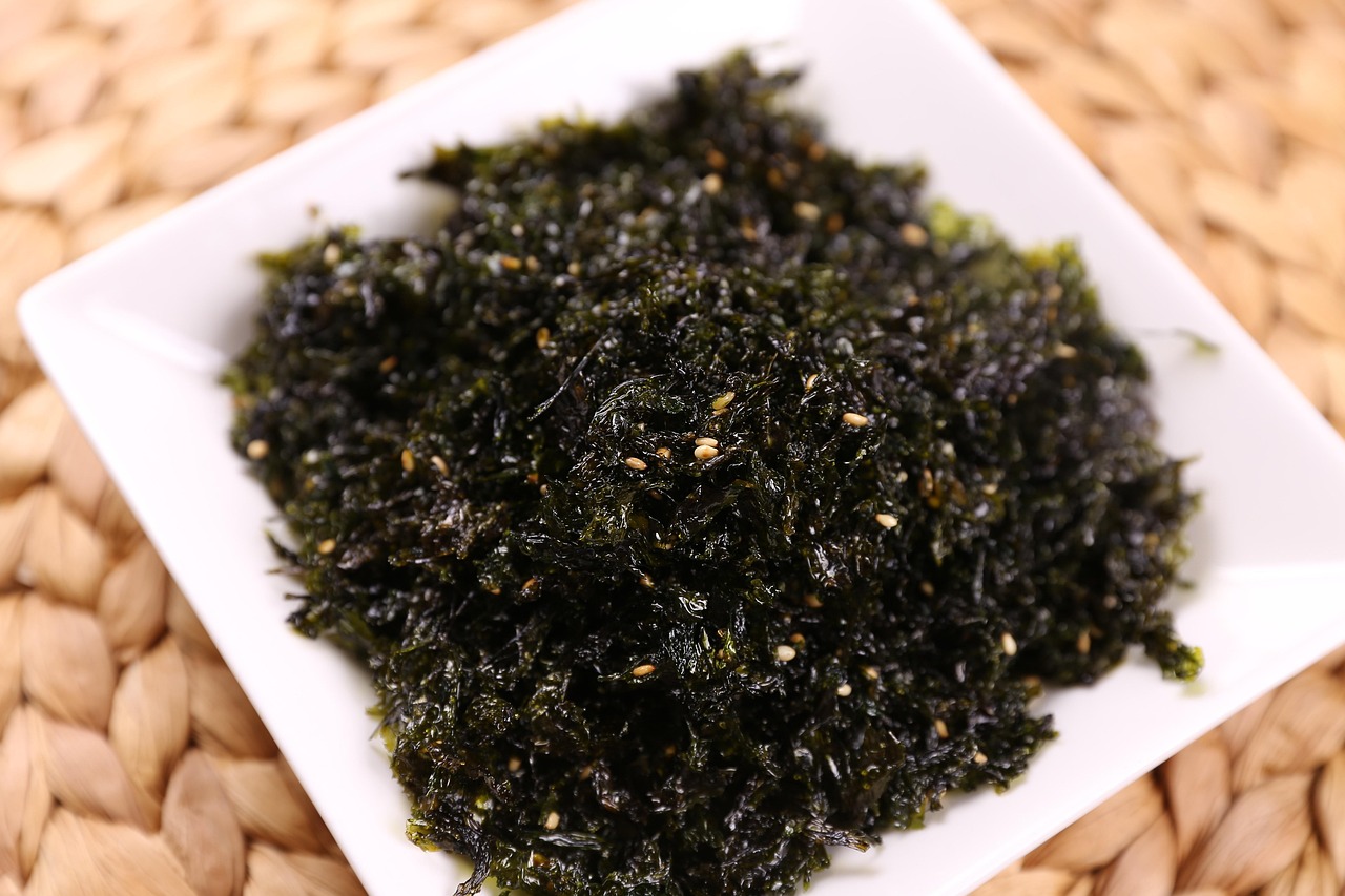 Marine Biologics launches seaweed powder ingredient