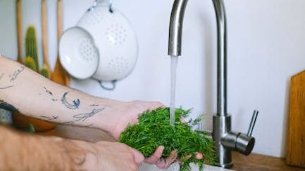 12 Storage Mistakes That Cause Fresh Herbs to Spoil Faster