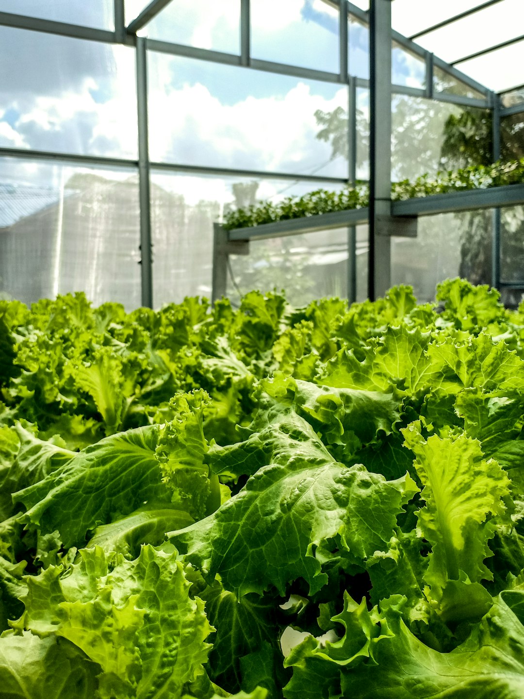 Why manual work persists in food and beverage and how connected data eliminates it