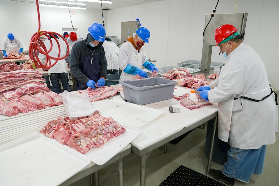 JBS workers reach wage agreement at US beef plant
