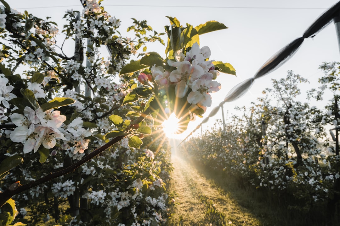 Slideshow: ‘Spring’ing into seasonal menu innovations