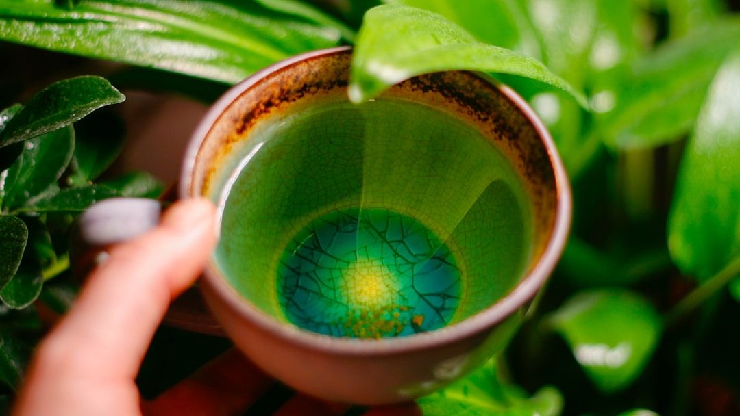 8 Morning Drinks That Balance Your Insulin Better Than Coffee