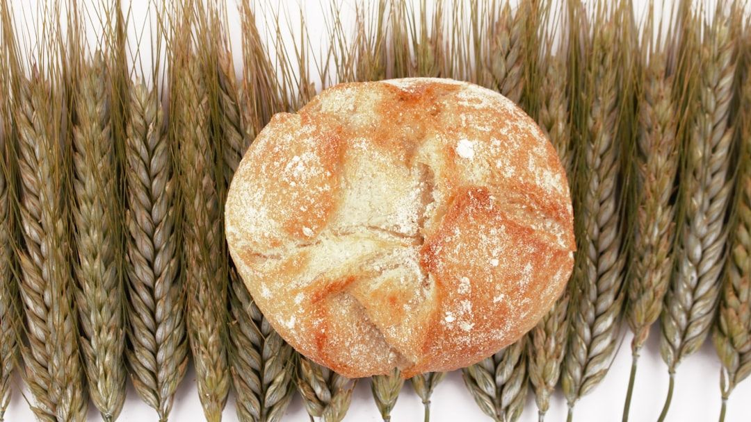 Why Sourdough Is More Than a Trend: The Biological Reason Some Gluten-Sensitive People Can Eat It