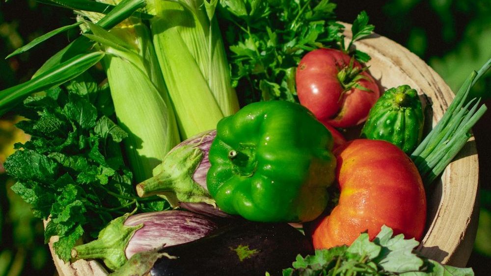 How Seasonal Eating Is Influencing Modern Meal Planning