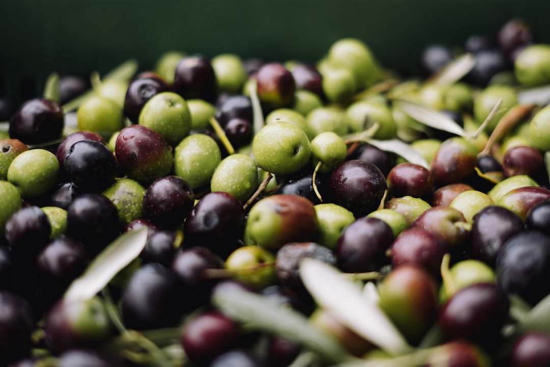 Arvos extends reach with Père Olive acquisition