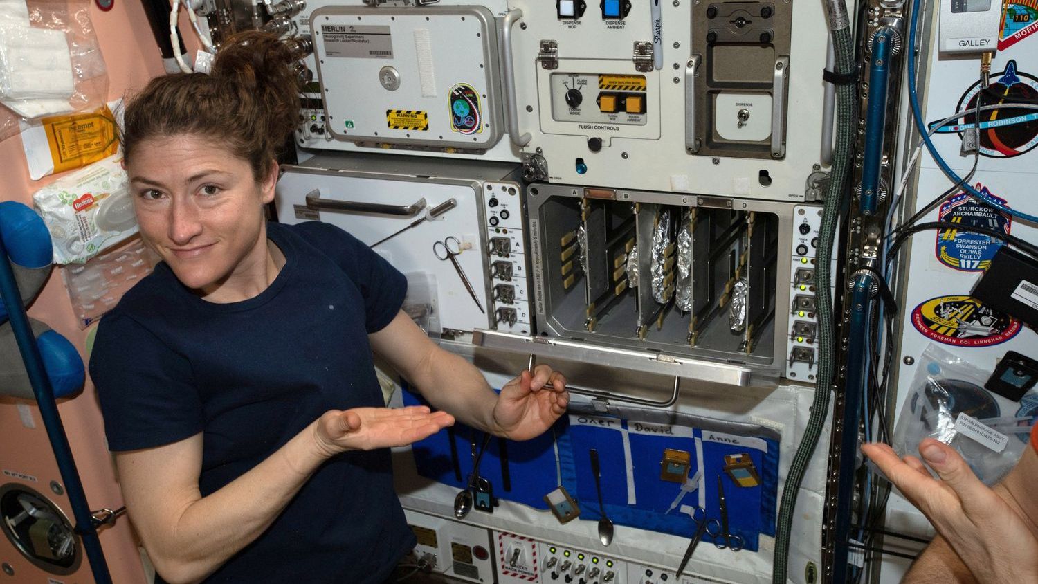 5 Futuristic Kitchen Gadgets That Were Actually Designed for the International Space Station