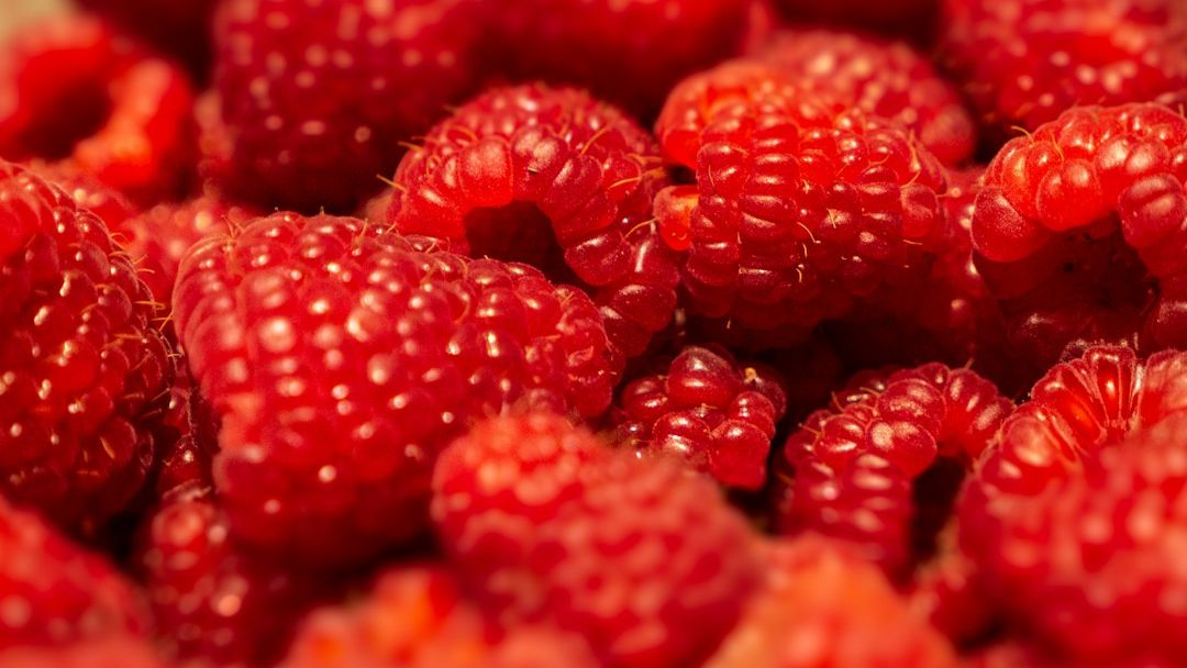 6 Brain-Boosting Berries Ranked From "Sugar Bombs" to "Mental Fuel"