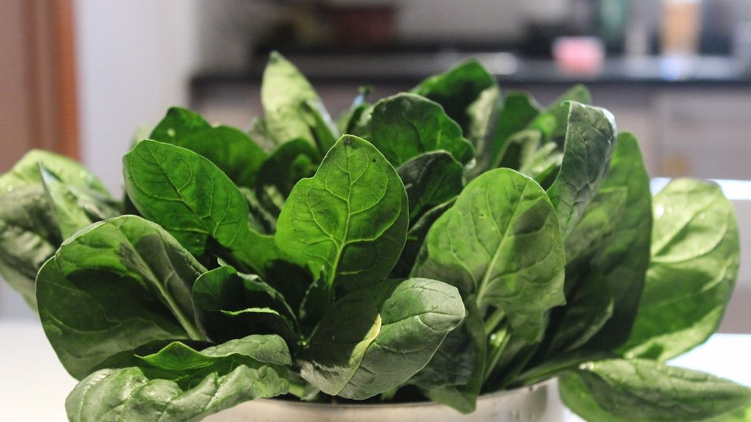 5 "Anti-Nutrients" Hiding in Your Spinach That Could Be Blocking Your Iron Absorption