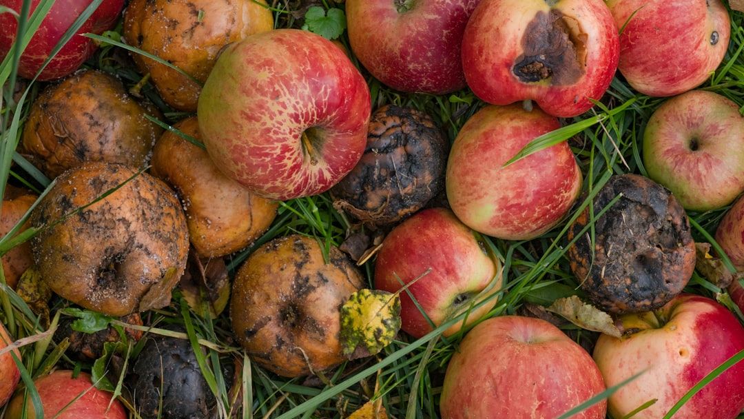 FRESH Act is a rotten apple