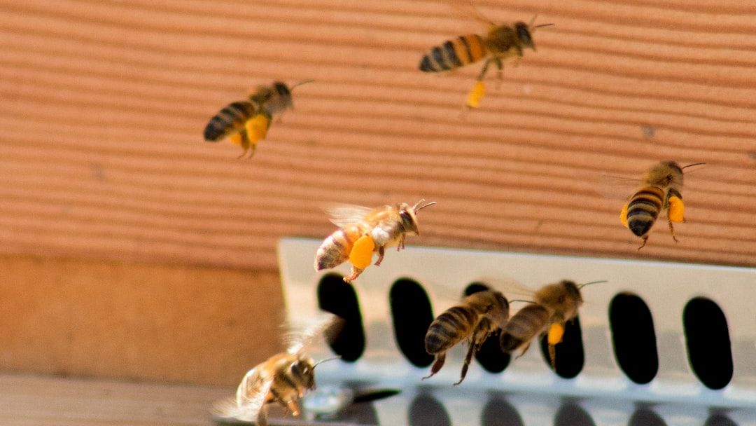 Is "Lab-Grown" Honey the Solution to the Bee Crisis? We Tried It So You Don't Have To