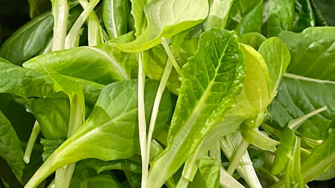 Why I Swapped Kale for Arugula: The Dark Side of Oxalates