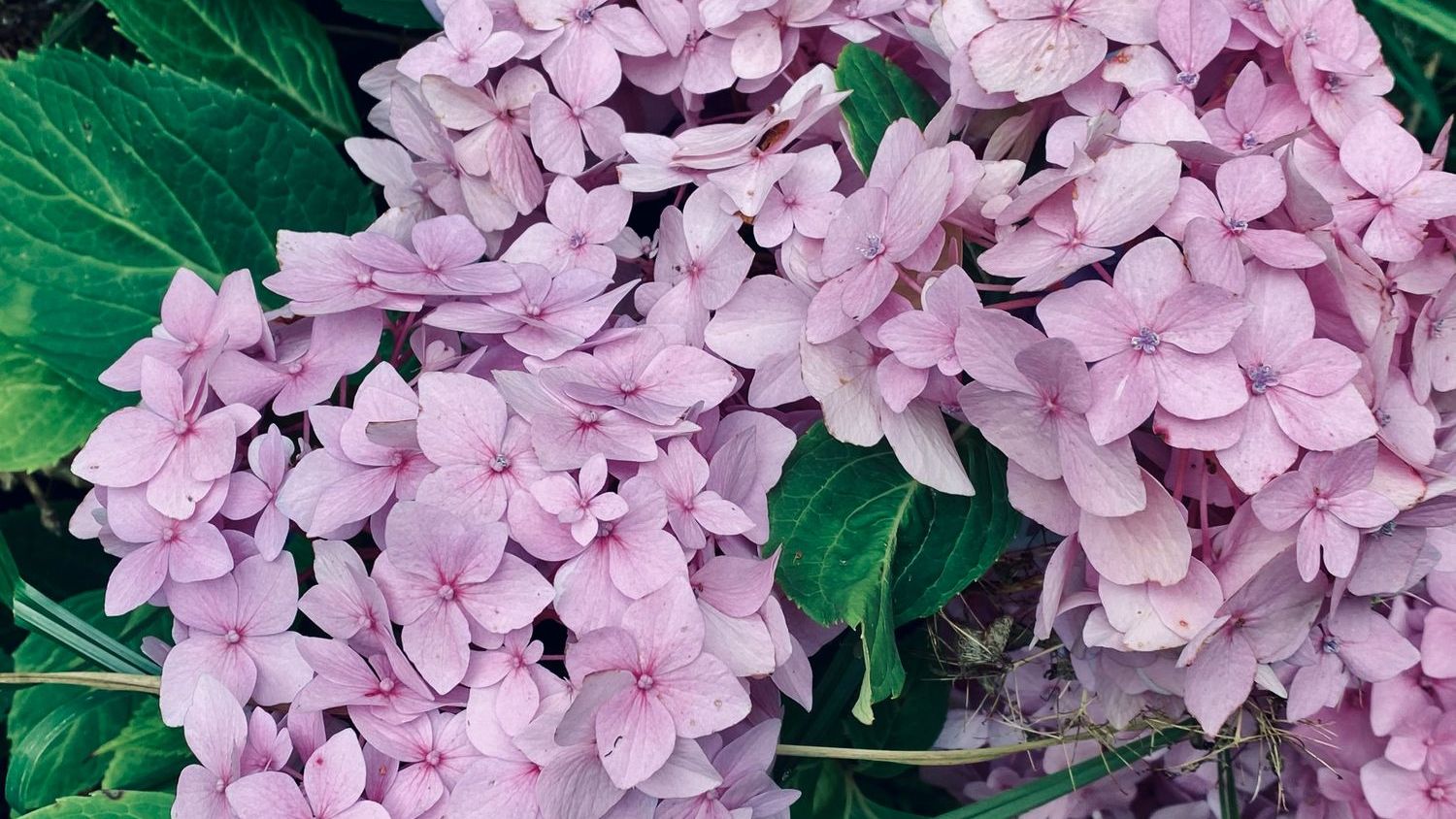 If You Want to Feel Better by Summer, Start With These 10 Things