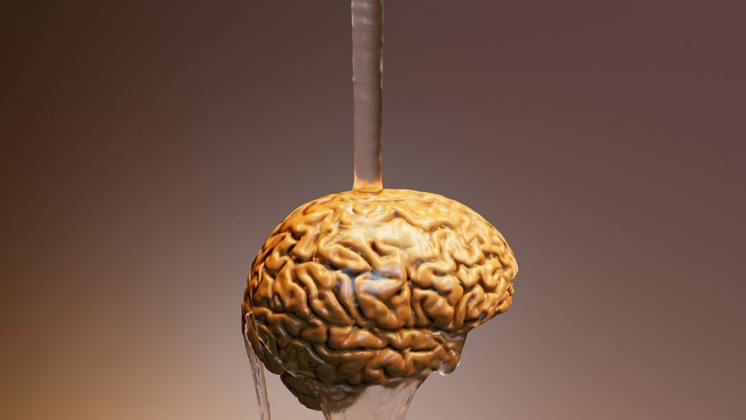 Why We Always Have Room for Dessert (The Science of "Sensory-Specific Satiety")