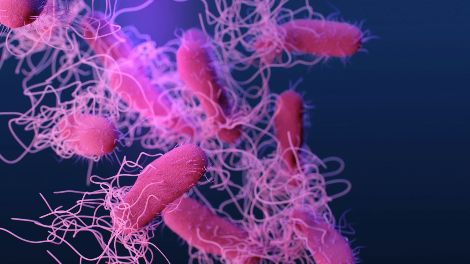 Public health agencies investigating Salmonella outbreak at jail