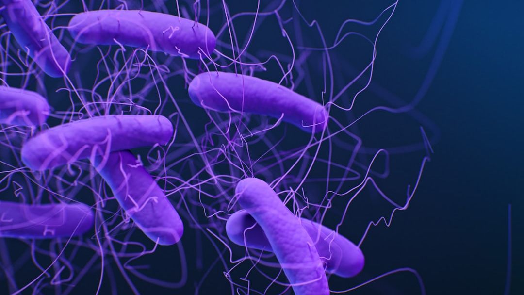 Public health agencies investigating Salmonella outbreak at jail
