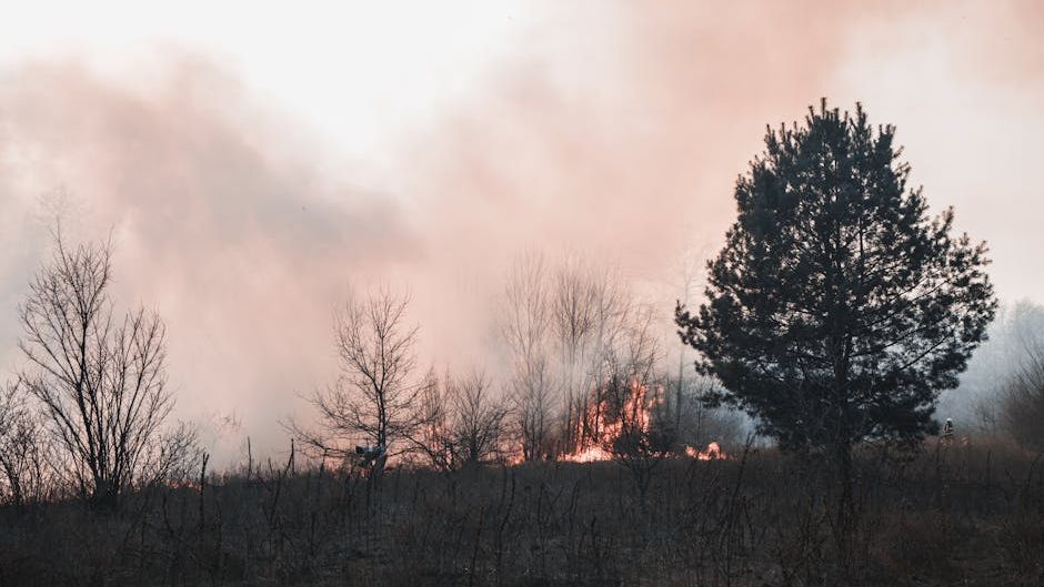 Thousands Urged To Stay Indoors In Arizona Over 'Hazardous' Air