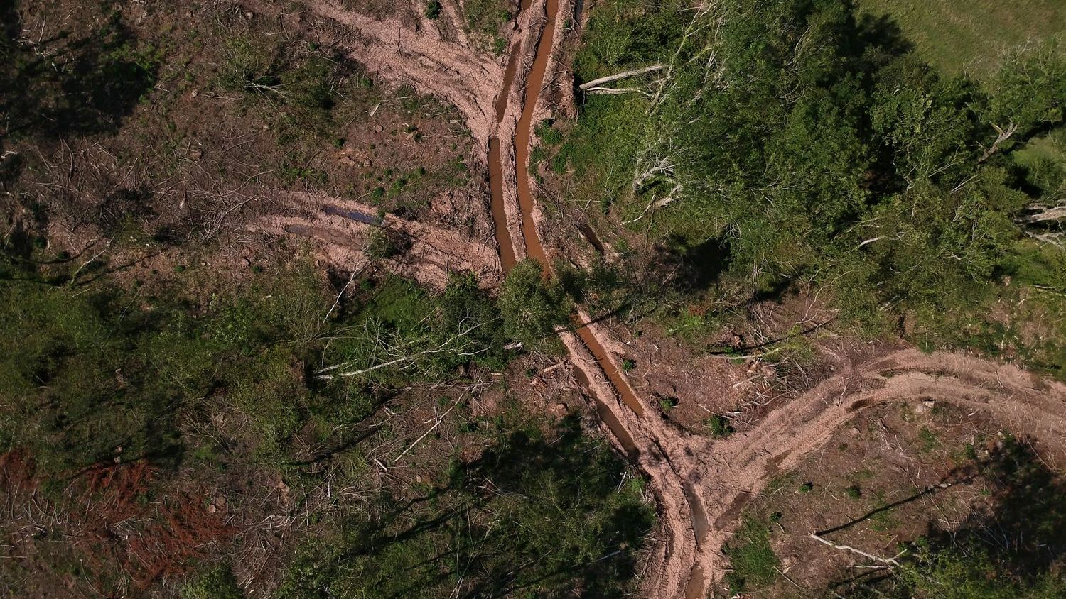 Solar installation and deforestation in the Amazon: Photo of the week