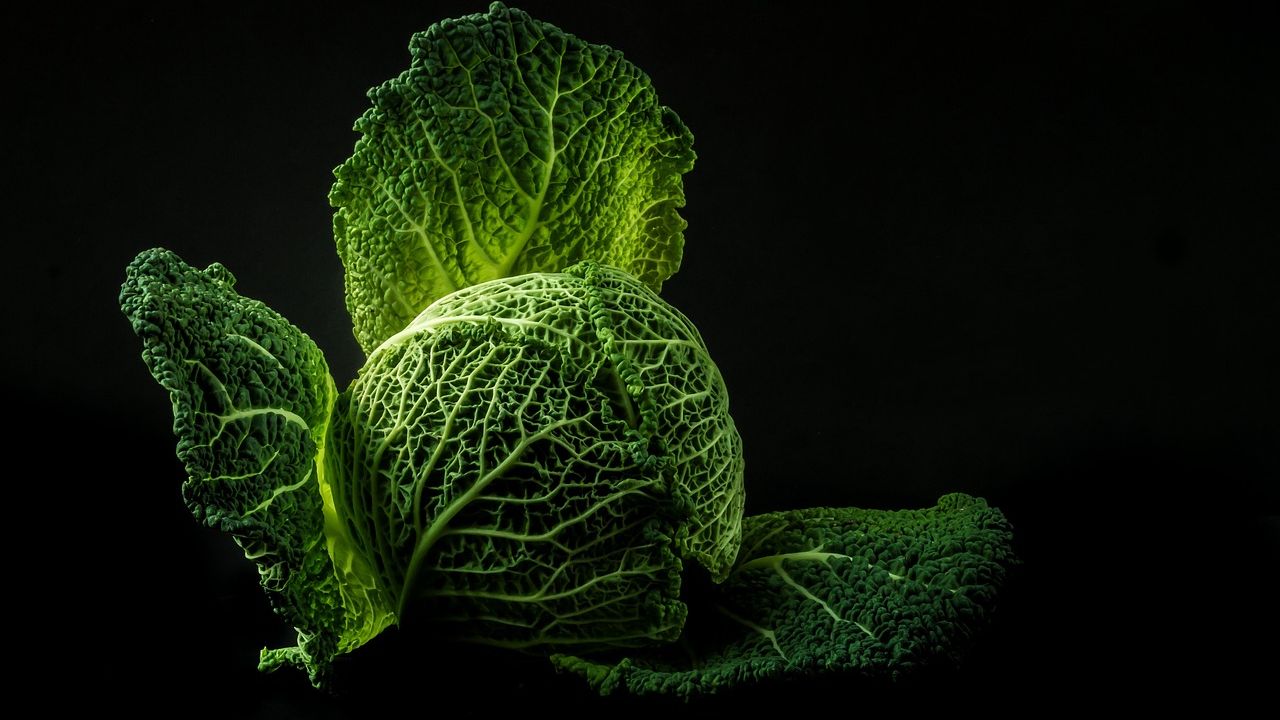 The Best Foods to Reverse Aging for Younger Skin and Mental Focus