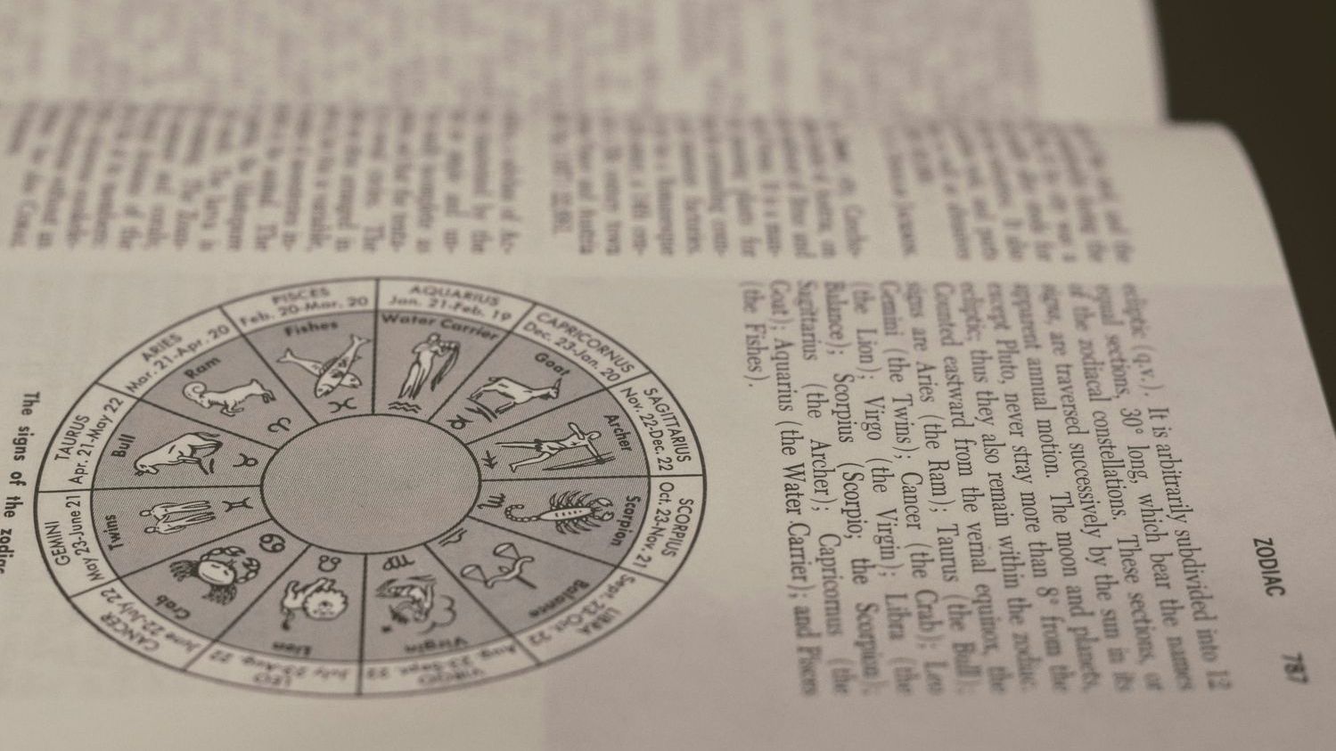 May 2026 Horoscope: Steadiness At Last?