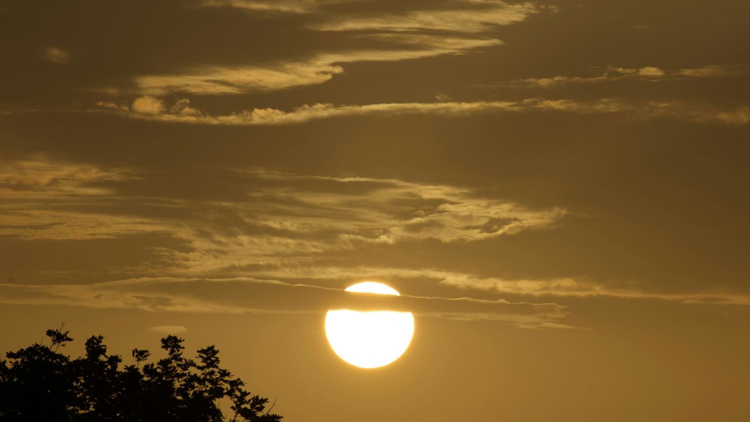 When Will Venus Transit In 2026?