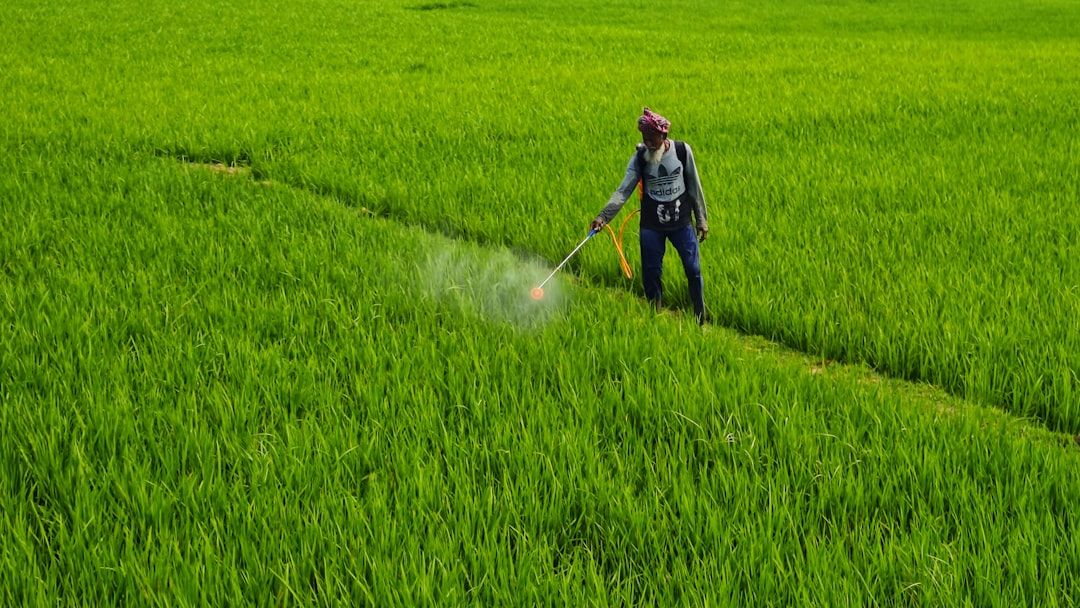 Imported foods pose more pesticide problems