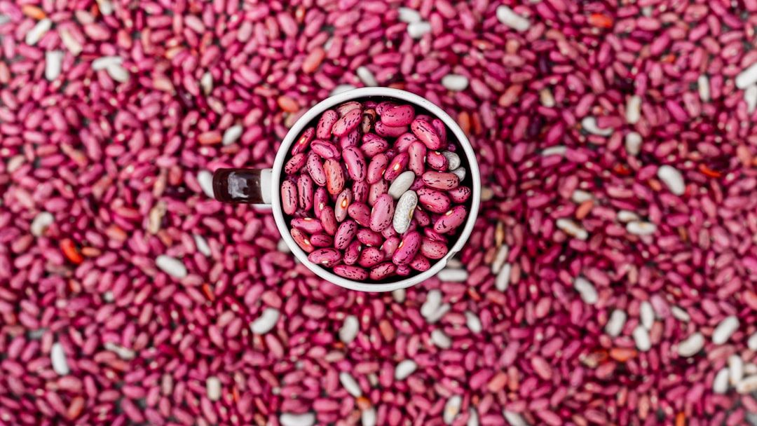 9 Kidney-Friendly Protein Sources That Aren't Chicken or Fish
