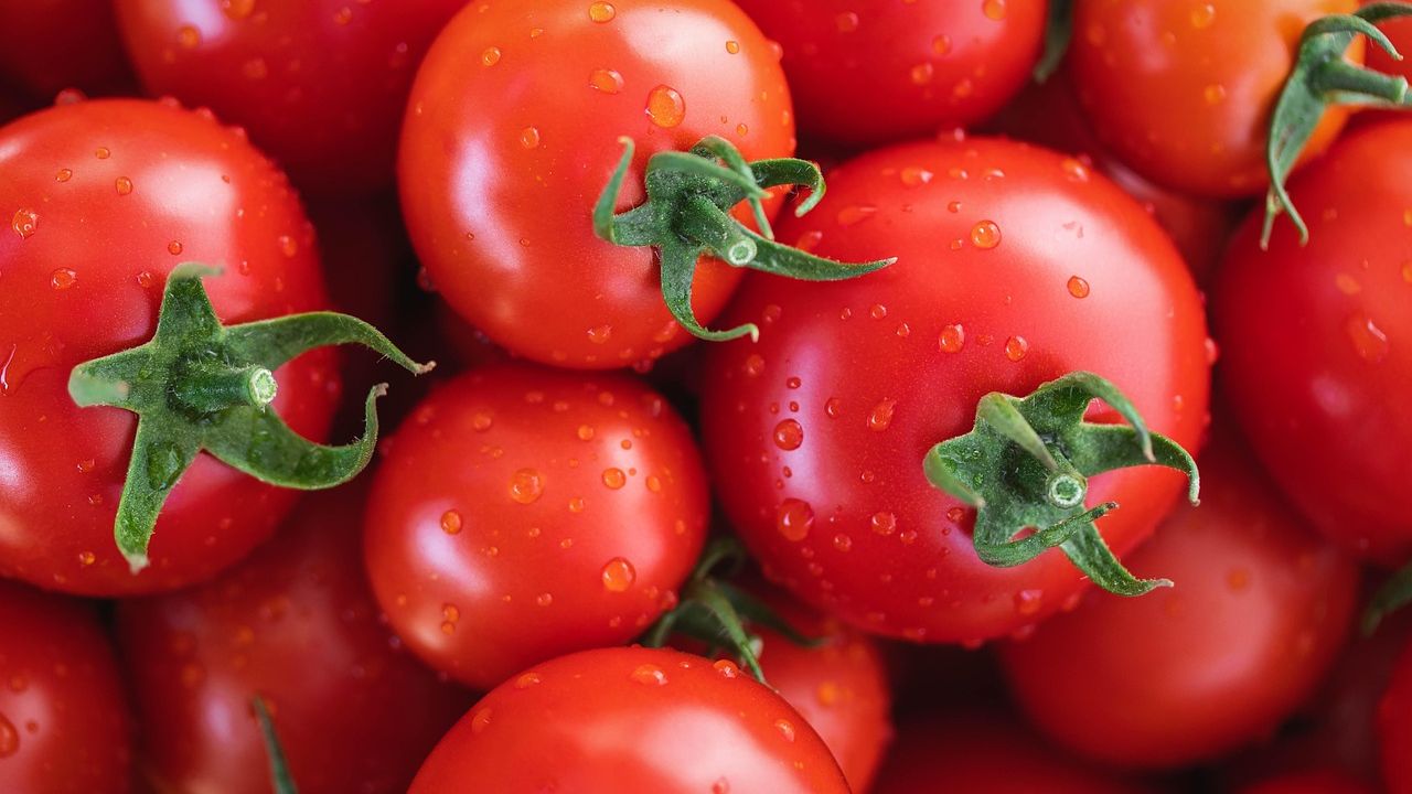 Popular Italian food brand accused of ‘tomato fraud’ in new lawsuit