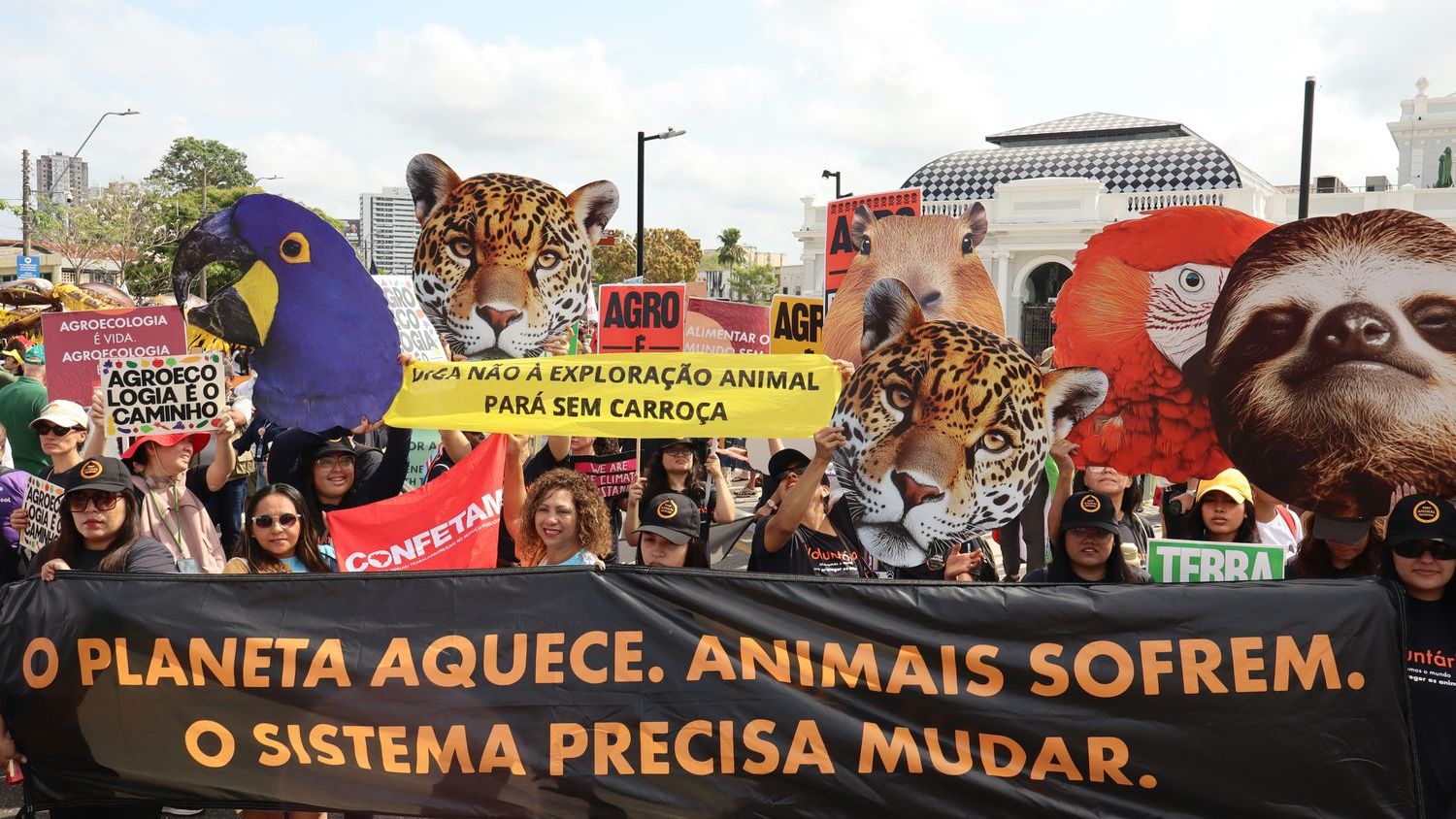 Deforestation and warming could push Amazon to tipping point by 2040s: Study