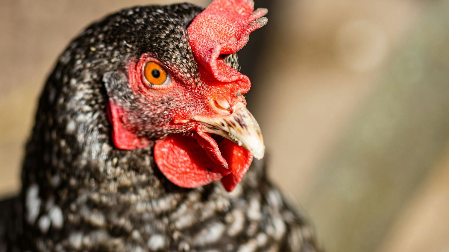 House passes ‘skinny’ Farm Bill