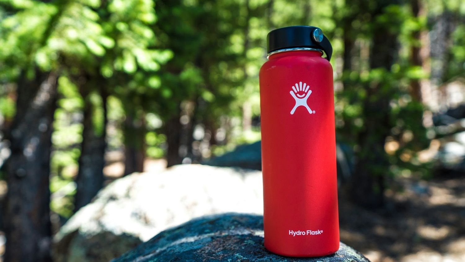 The Hidden Cost of Cheap Water Bottles (and What to Buy Instead)