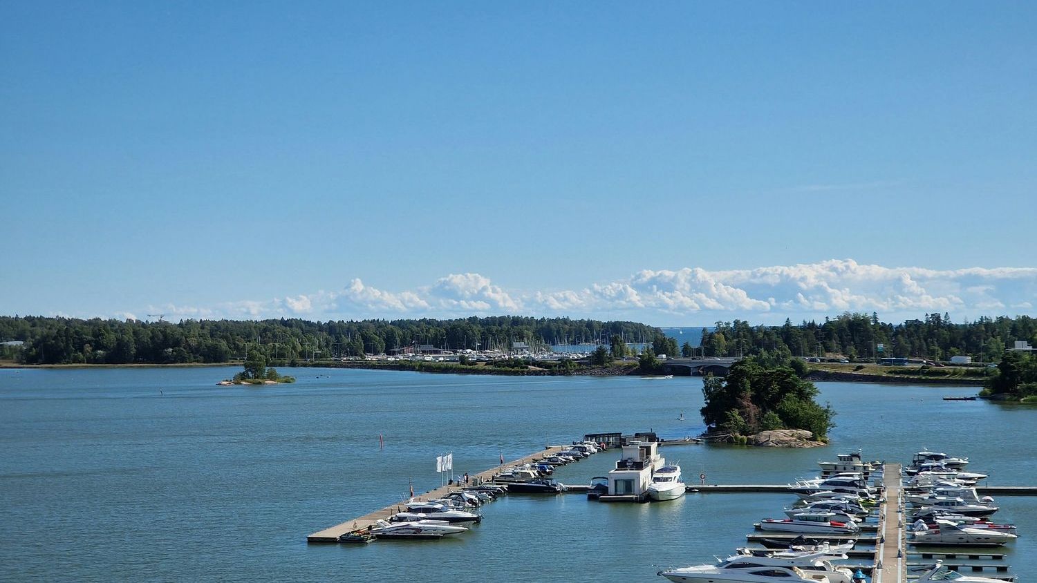Bay Nature’s 2026 Summer Guide