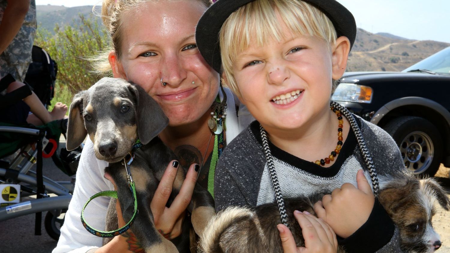 The Real Cost of Pets: A Financial Guide to Being a Dog or Cat Owner