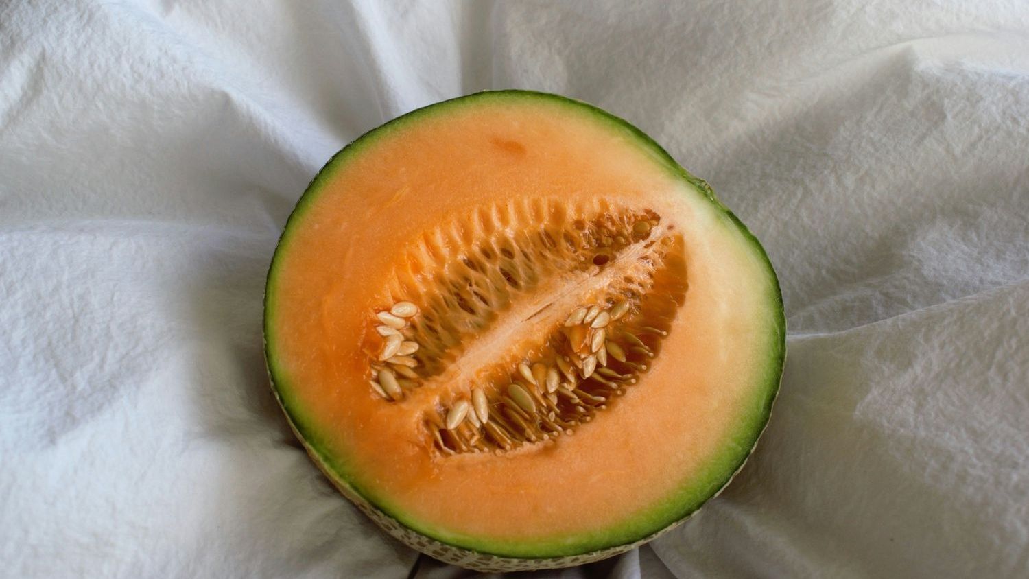 Cantaloupe outbreak declared over
