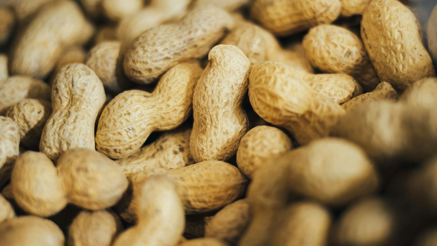 Sesame noodles recalled because of possible peanut contamination