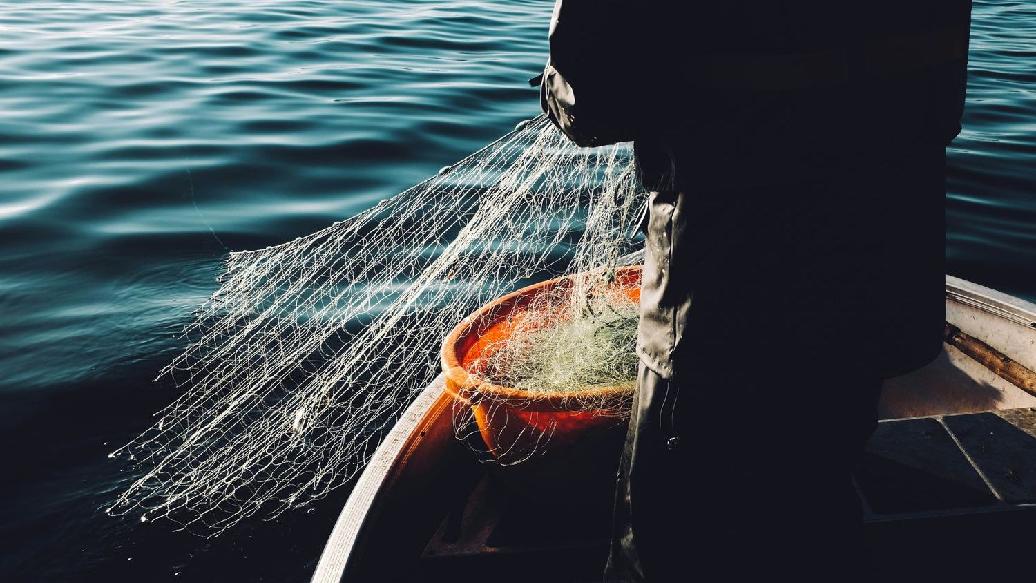 European bottom trawling costs billions every year in climate impacts, study finds