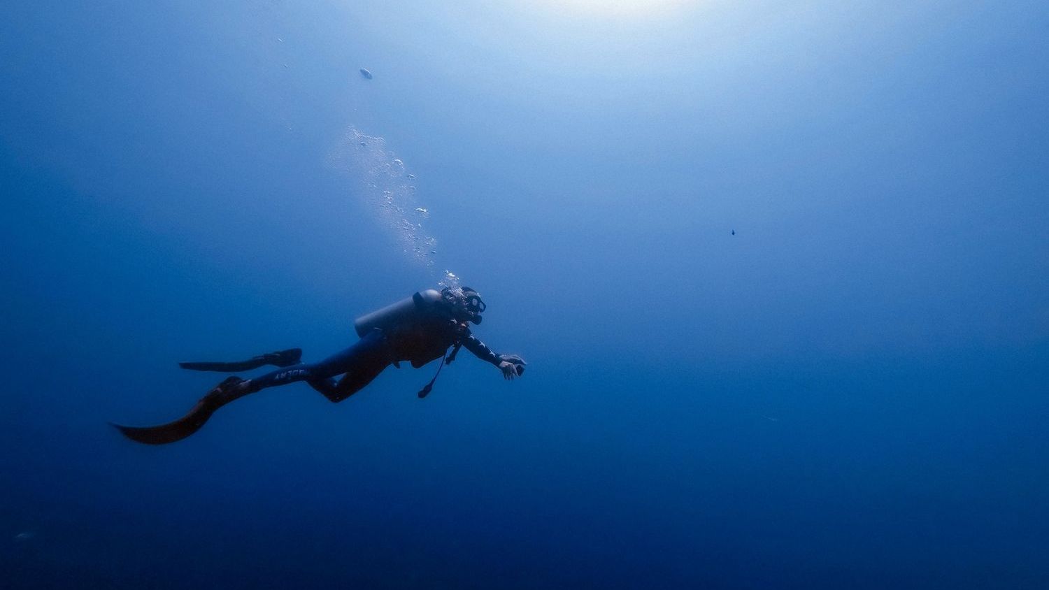 Monica Montefalcone, leading seagrass scientist, dies in Maldives diving accident, aged 51