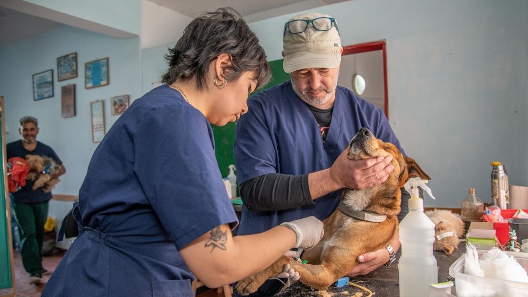 Veterinarian tapped to temporarily lead FDA's human foods program