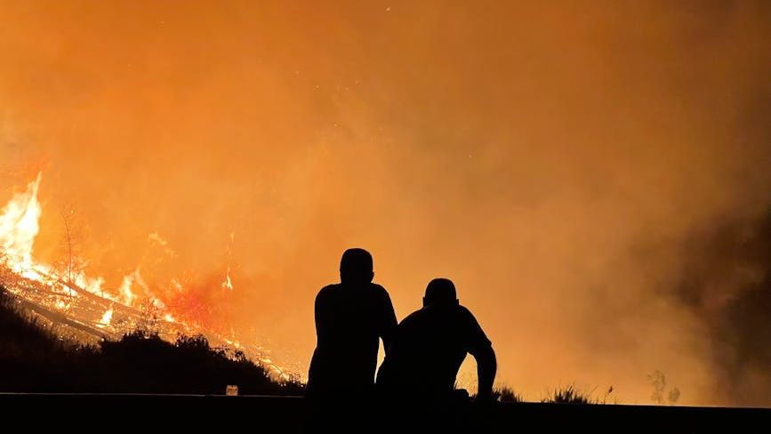 Santa Rosa Island fire burns more than 10,000 acres, threatening rare plants and animals