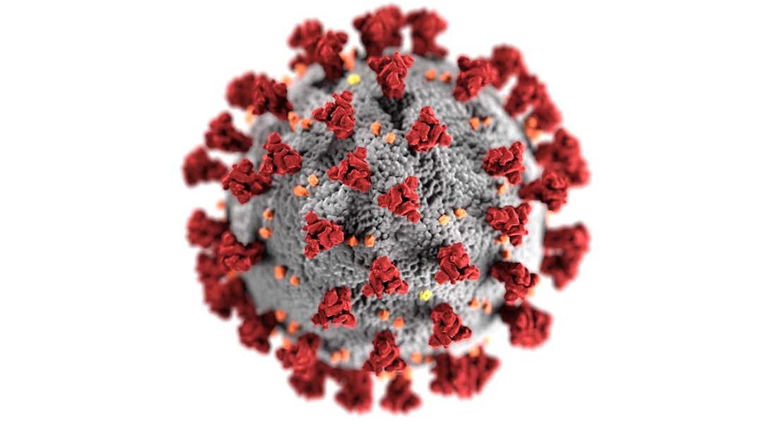 At least 6 Americans in Congo exposed to terrifying Ebola virus strain with 25-50% death rate: report
