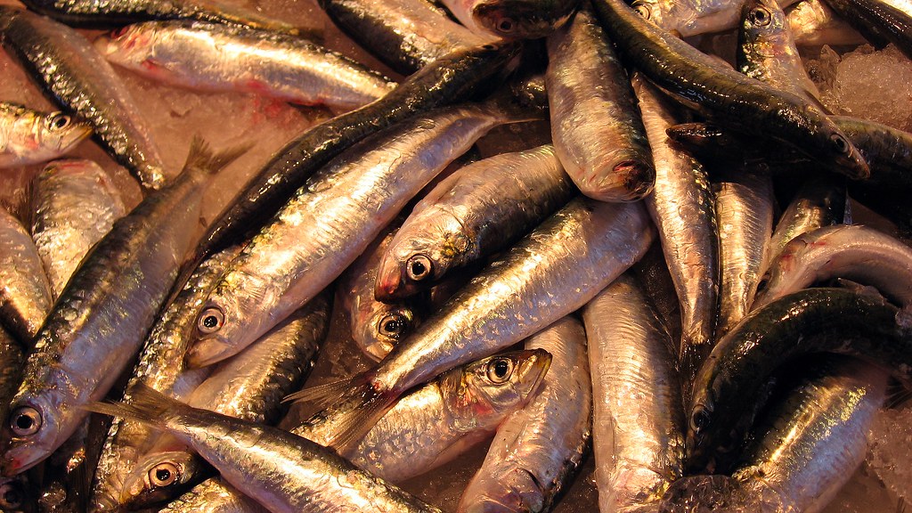 Smoked herring recalled because of potential for botulism poisoning
