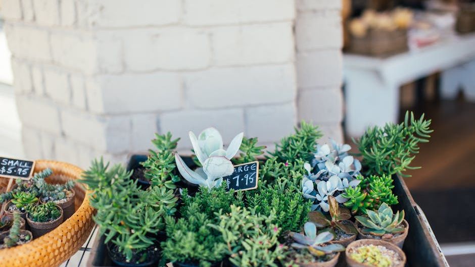 Plant-based sales in the US continue to slide