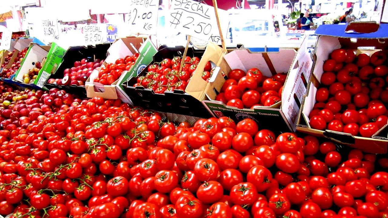 Grocery inflation hits highest level since mid-2023