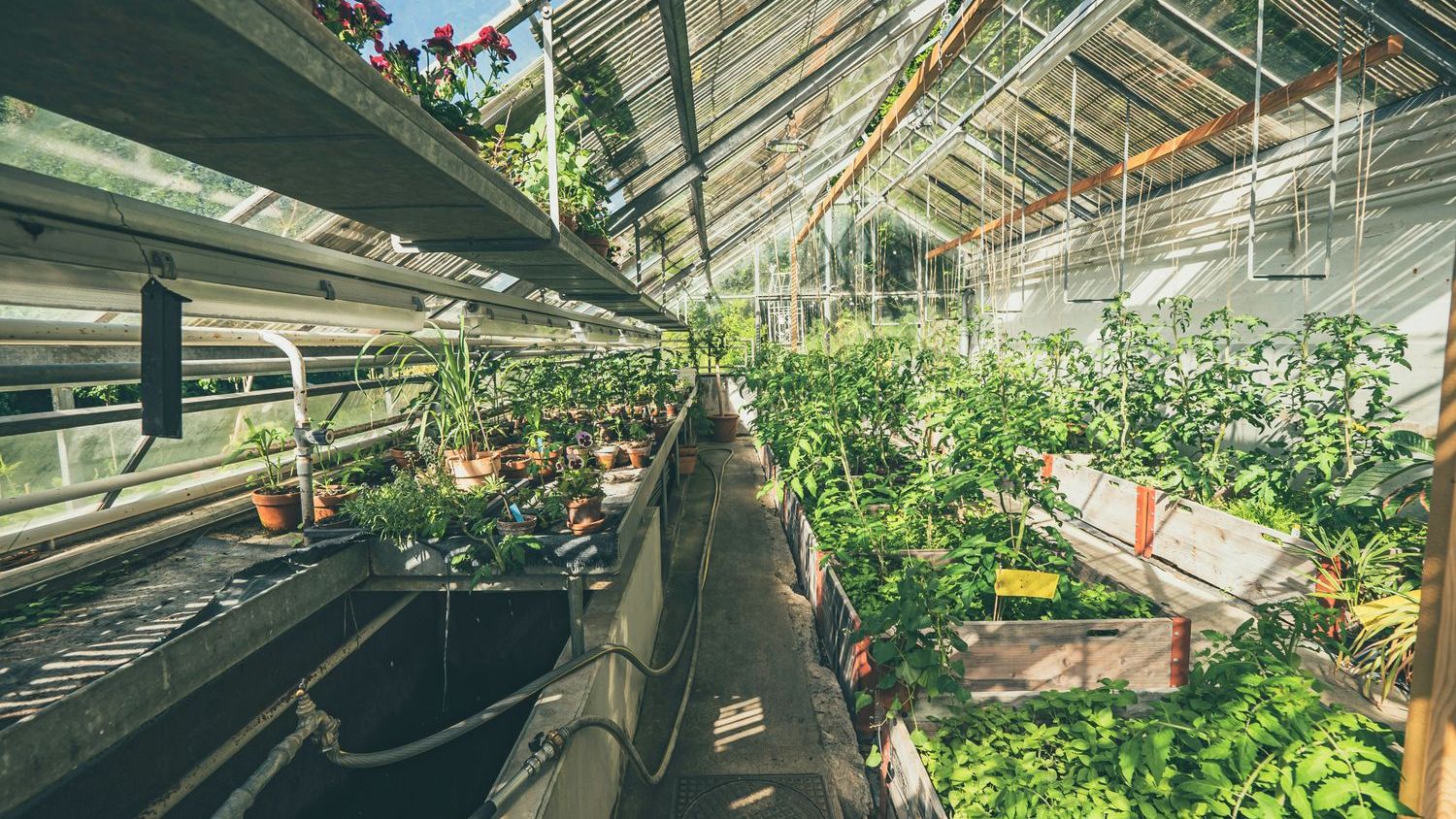 California Leafy Greens growers spend less than $60 per acre on food safety efforts