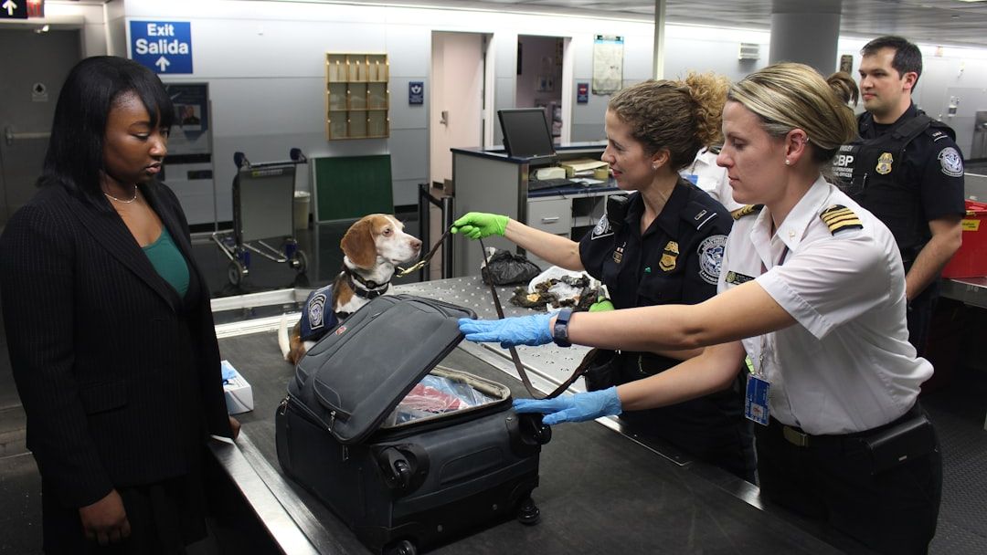 Boston Logan passengers will be able to skip long TSA airport lines thanks to new checkpoint