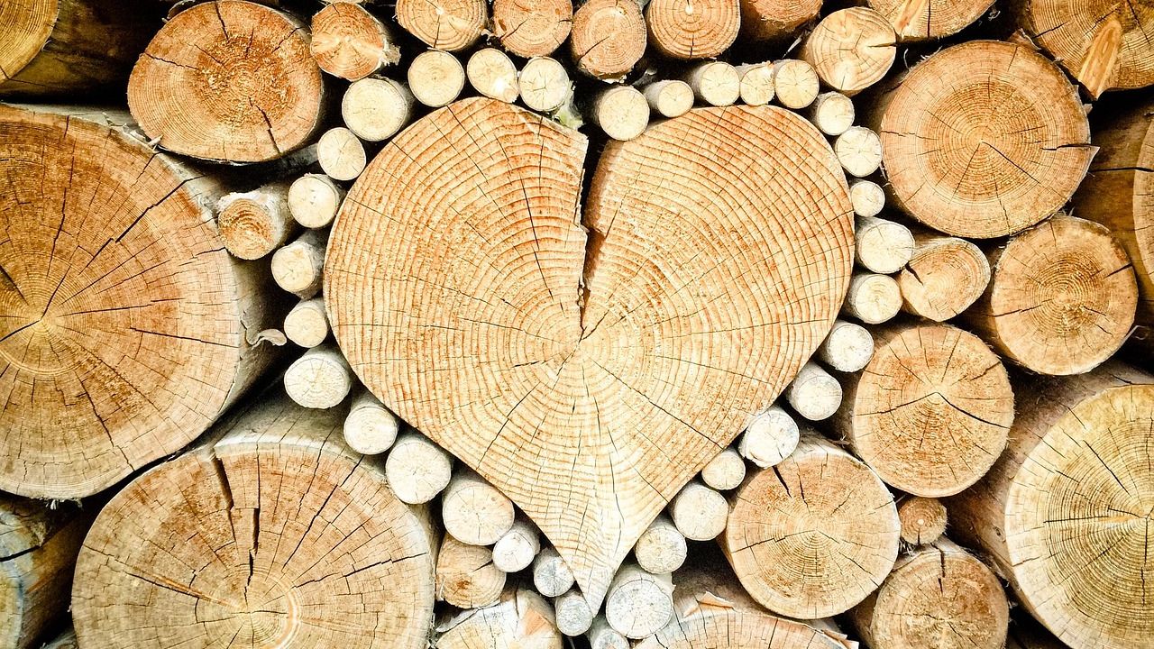 Smallholders are not the weak link in forest protection (commentary)
