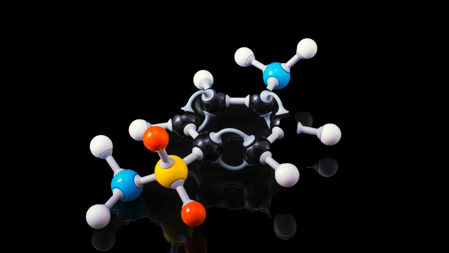 MIT scientists discover amino acid that helps the gut heal itself