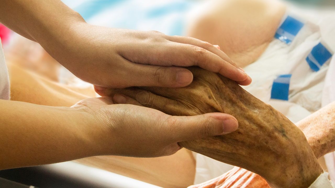 Mayo Clinic & Bayesian Health Co-Develop AI-Powered Solution to Expand Palliative Care Access